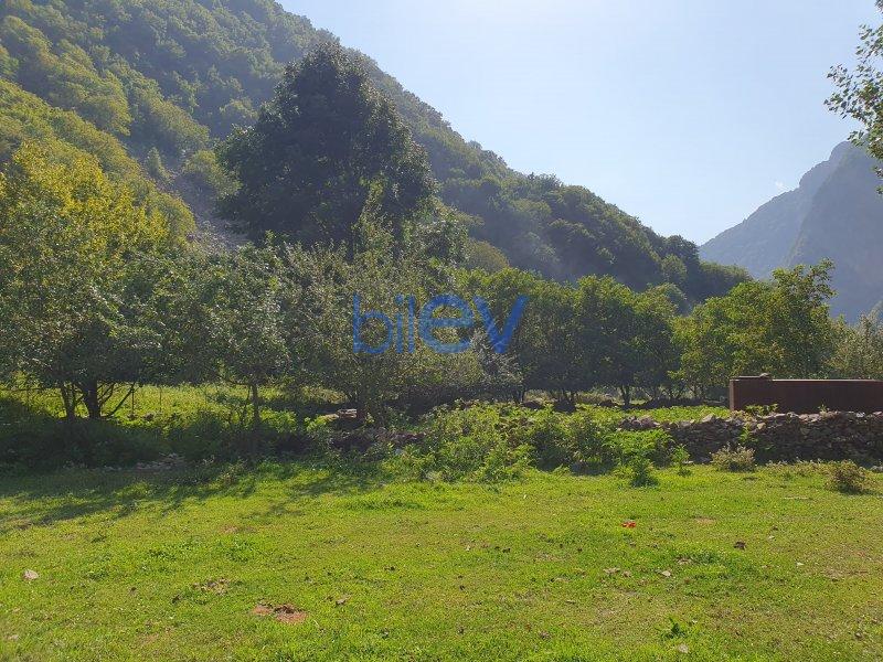 Satılır  otaqlı Torpaq  8m², Qax