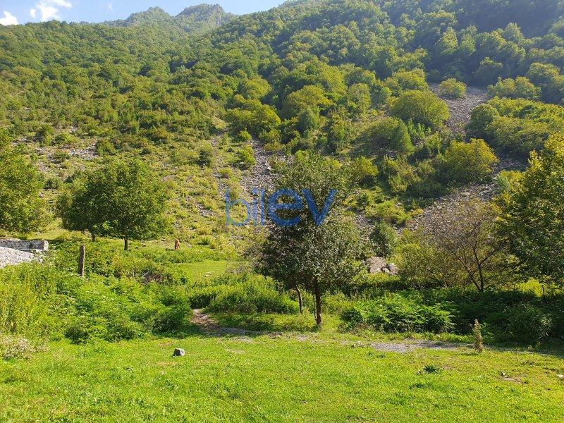 Satılır  otaqlı Torpaq  8m², Qax