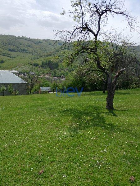 Satılır  otaqlı Torpaq  12m², Quba