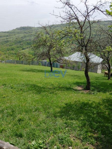 Satılır  otaqlı Torpaq  12m², Quba
