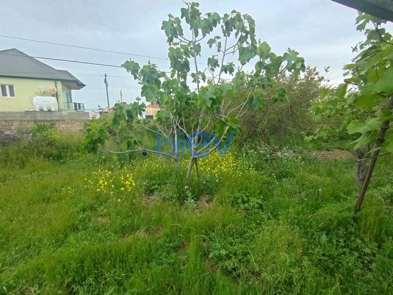 Satılır  otaqlı Torpaq  300m², Bakı