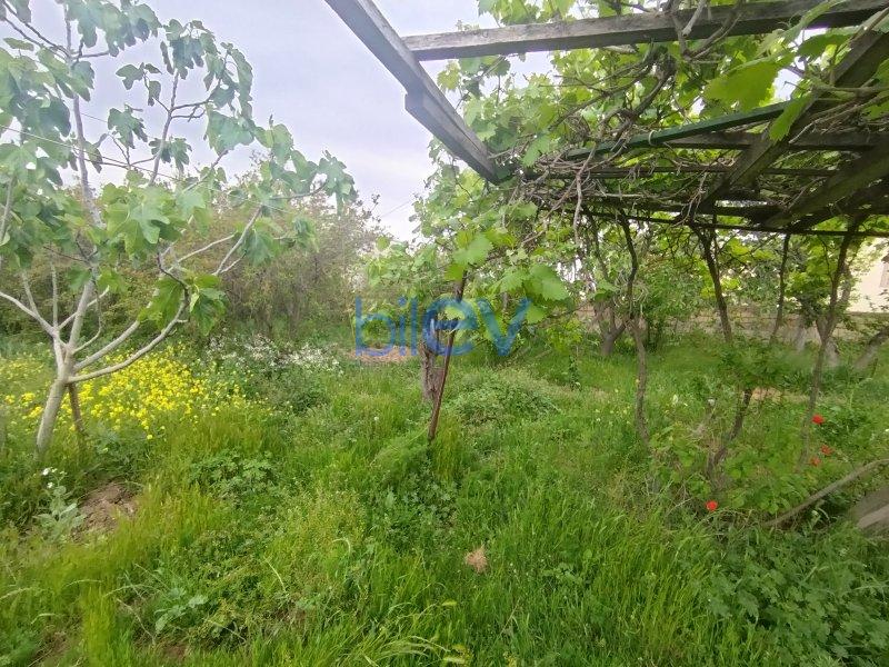 Satılır  otaqlı Torpaq  300m², Bakı