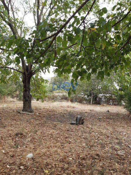 Satış 4 otaqlı Torpaq  1600m², İsmayıllı