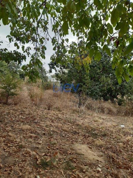 Satış 4 otaqlı Torpaq  1600m², İsmayıllı