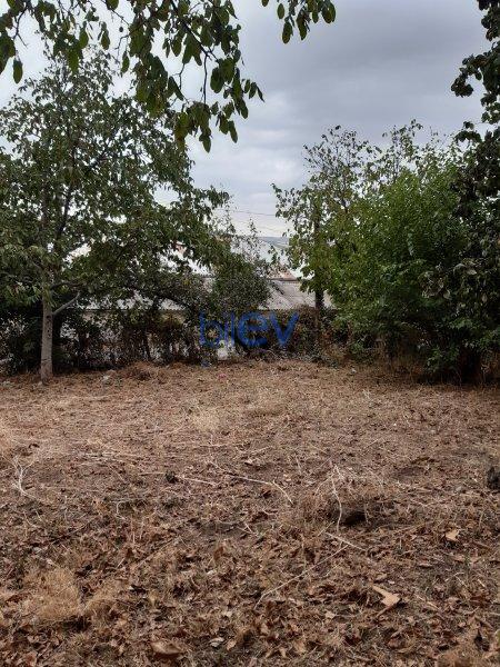 Satış 4 otaqlı Torpaq  1600m², İsmayıllı