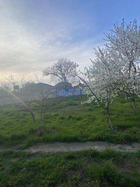 Satılır  otaqlı Torpaq  6m², Xaçmaz / Xudat