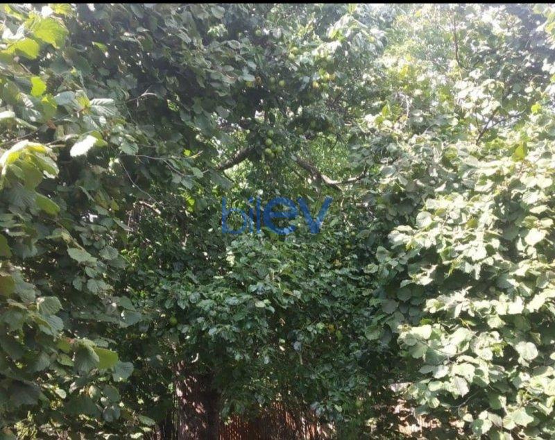 Satılır  otaqlı Torpaq  25m², İsmayıllı