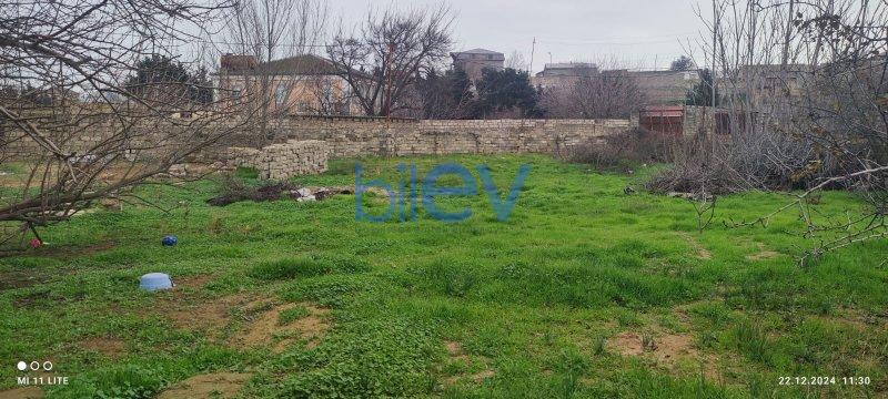 Satılır  otaqlı Torpaq  8m², Bakı