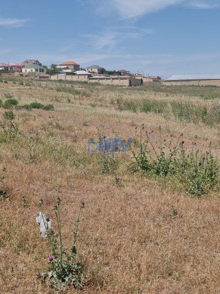 Satılır  otaqlı Torpaq  17400m², Bakı