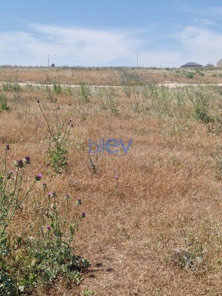 Satılır  otaqlı Torpaq  17400m², Bakı