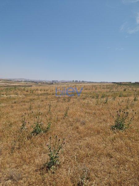 Satılır  otaqlı Torpaq  17400m², Bakı