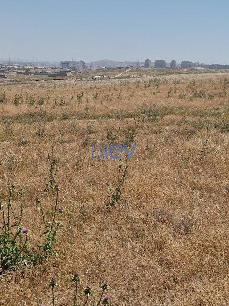 Satılır  otaqlı Torpaq  17400m², Bakı