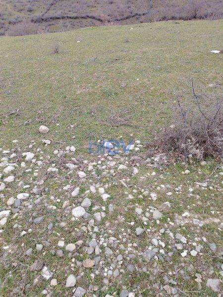 Satılır 1 otaqlı Torpaq  52m², Şabran