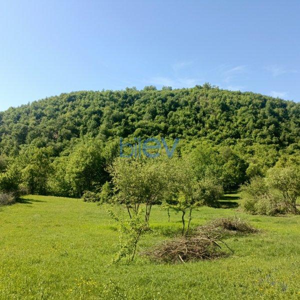 Satılır  otaqlı Torpaq  100m², Quba