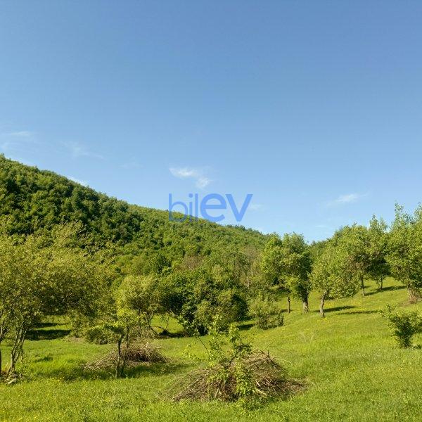 Satılır  otaqlı Torpaq  100m², Quba