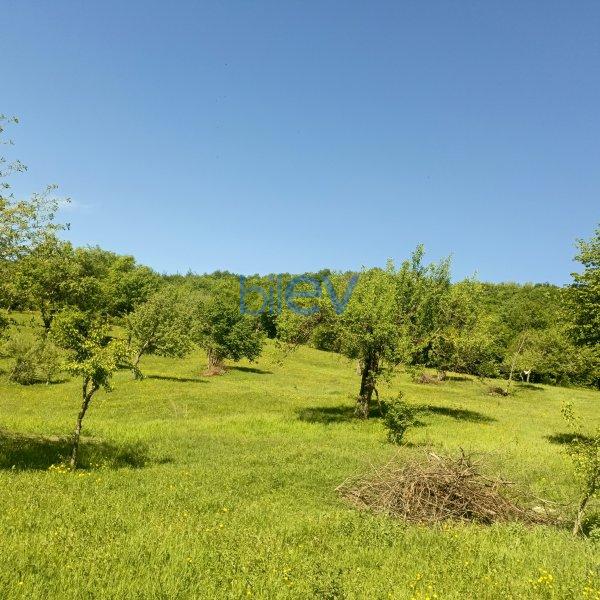 Satılır  otaqlı Torpaq  100m², Quba