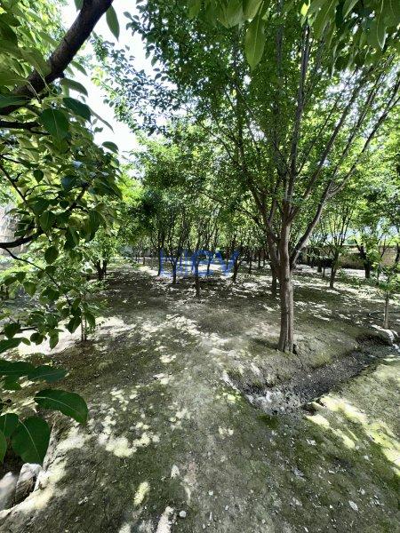 Satılır 6 otaqlı Həyət evi  240m², Göyçay