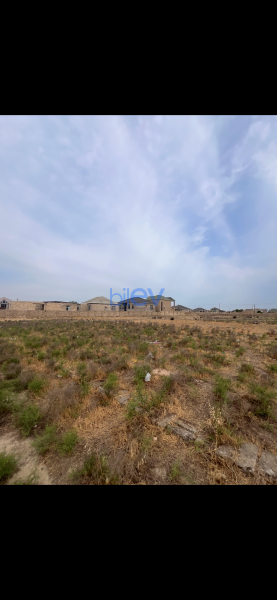 Satış  otaqlı Torpaq  10.000m², Bakı