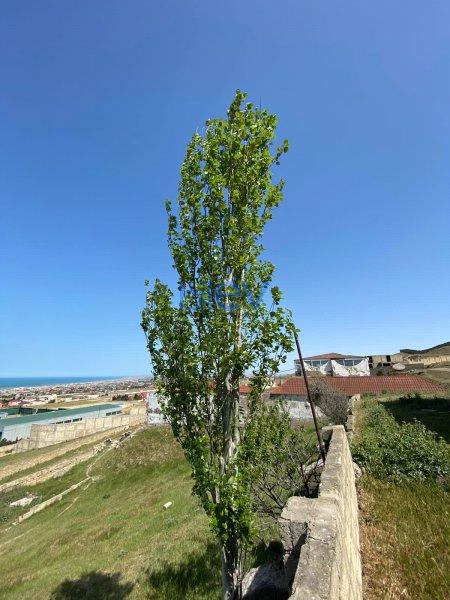 Satılır  otaqlı Torpaq  50m², Bakı