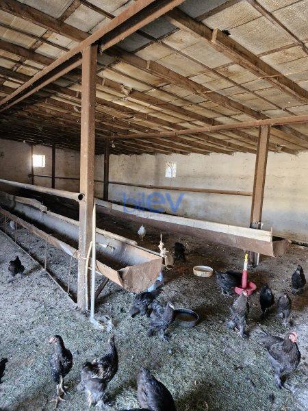 Satılır 8 otaqlı Obyekt  1200m², Bakı