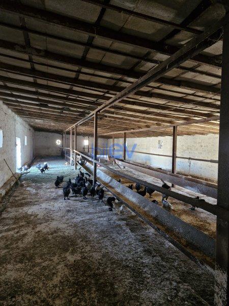 Satılır 8 otaqlı Obyekt  1200m², Bakı