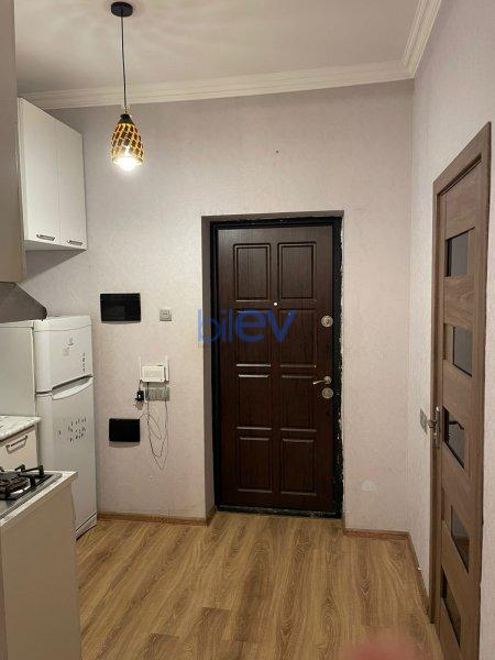 Kirayə (aylıq) 1 otaqlı Yeni Tikili  30m², Bakı