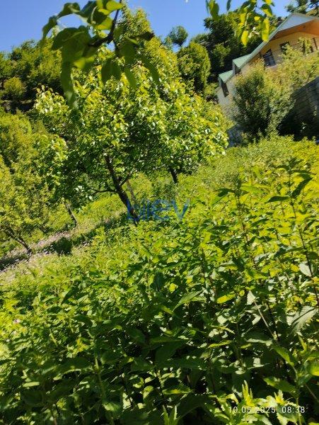 Satılır  otaqlı Torpaq  12m², İsmayıllı