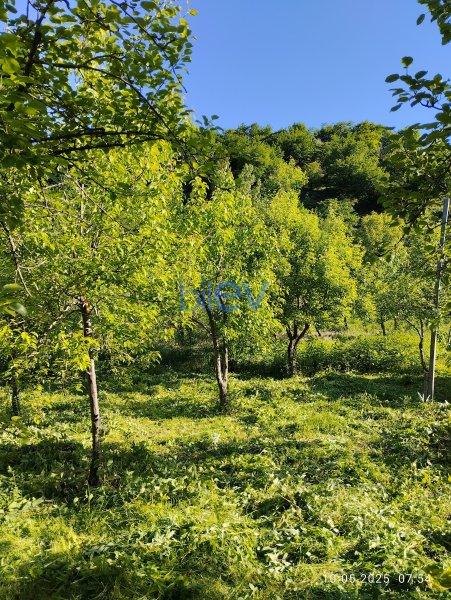 Satılır  otaqlı Torpaq  12m², İsmayıllı