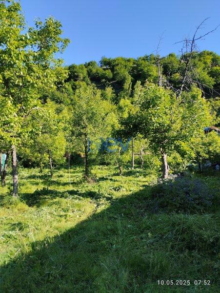 Satılır  otaqlı Bağ evi  12m², İsmayıllı