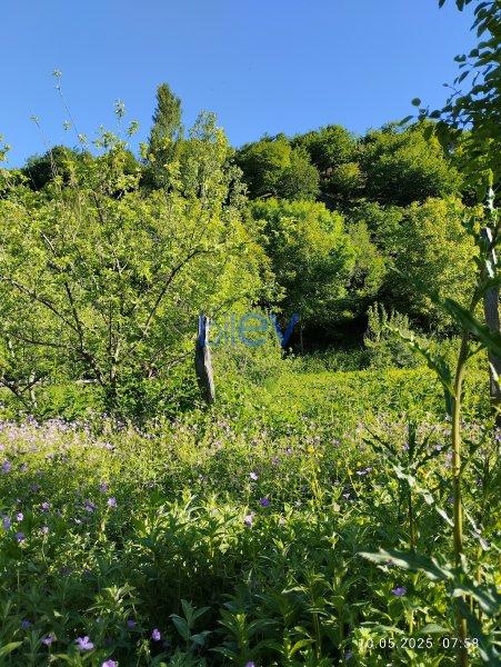 Satılır  otaqlı Bağ evi  12m², İsmayıllı