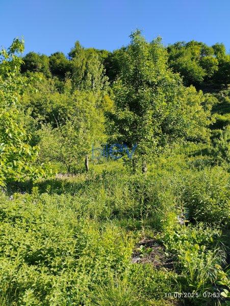Satılır  otaqlı Bağ evi  12m², İsmayıllı