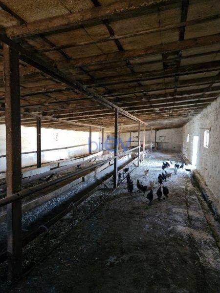 Satılır 8 otaqlı Torpaq  1200m², Bakı