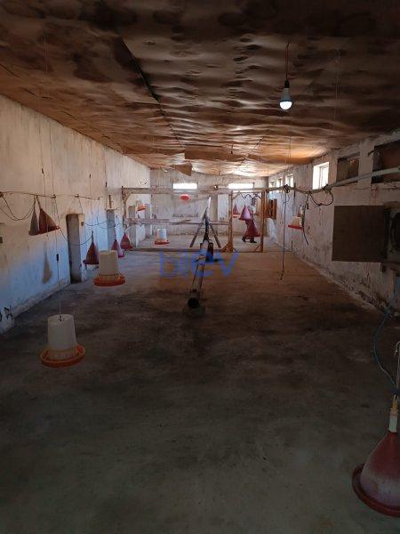Satılır 1 otaqlı Obyekt  337m², Bakı