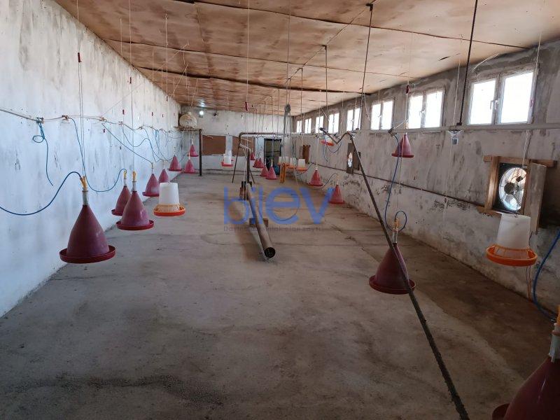 Satılır 1 otaqlı Obyekt  337m², Bakı