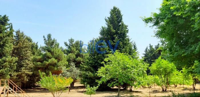 Satılır 5 otaqlı Bağ evi  293m², Bakı
