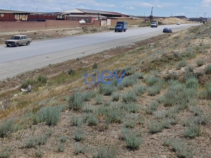 Satılır  otaqlı Torpaq  10000m², Bakı