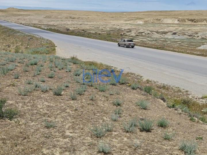 Satılır  otaqlı Torpaq  10000m², Bakı
