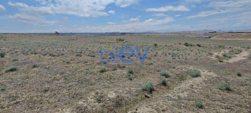 Satılır  otaqlı Torpaq  10000m², Bakı