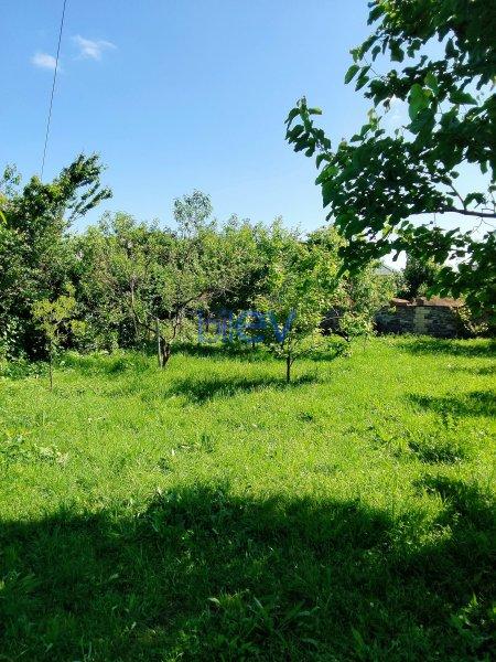 Satılır 5 otaqlı Həyət evi  24m², Qəbələ