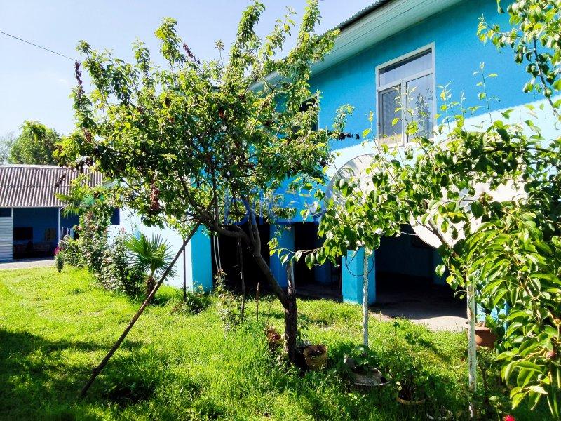 Satılır 5 otaqlı Həyət evi  24m², Qəbələ