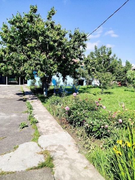 Satılır 5 otaqlı Həyət evi  24m², Qəbələ
