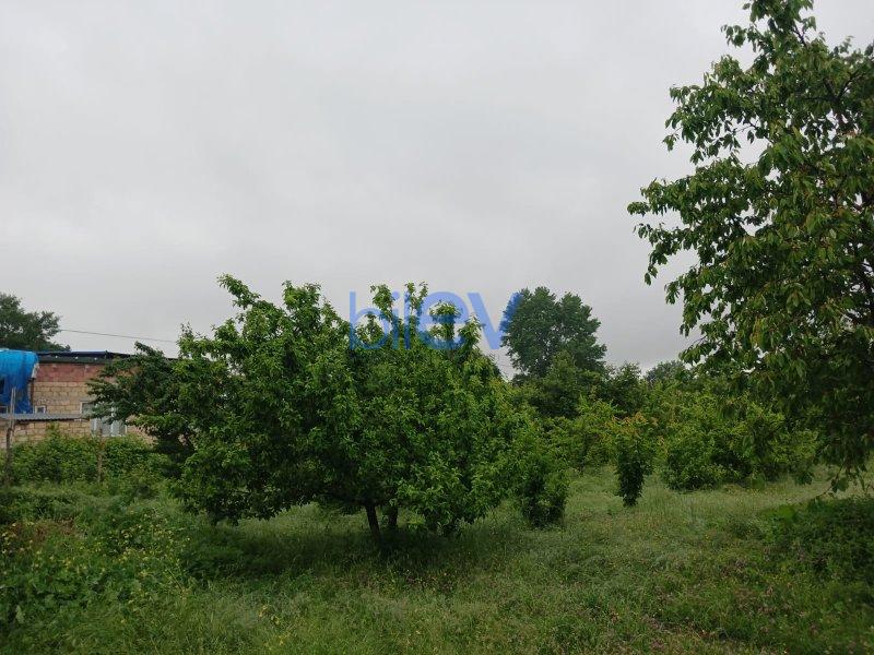 Satılır  otaqlı Torpaq  6m², Qusar