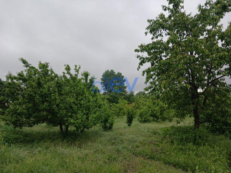 Satılır  otaqlı Torpaq  6m², Qusar