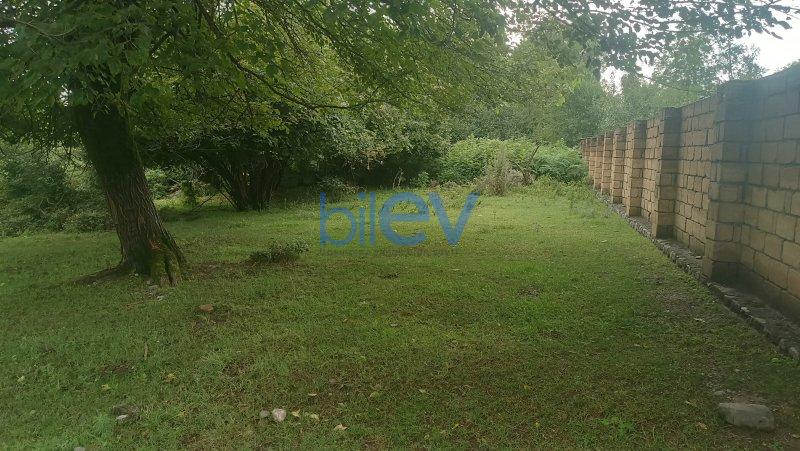 Satılır  otaqlı Torpaq  10m², Qəbələ