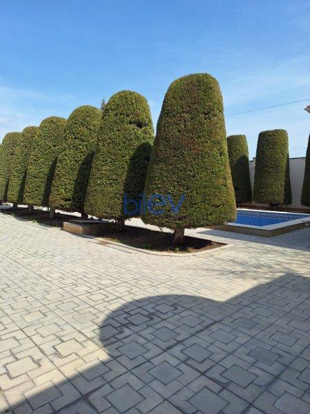 Satılır 7 otaqlı Villa  600m², Bakı