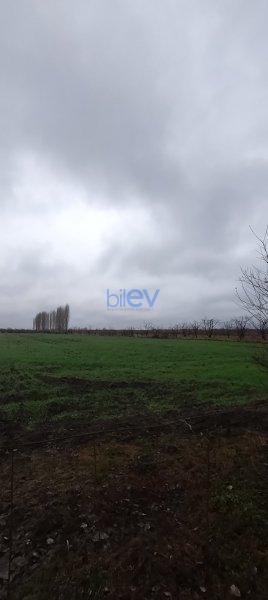Satılır 0 otaqlı Torpaq  4500m², Quba