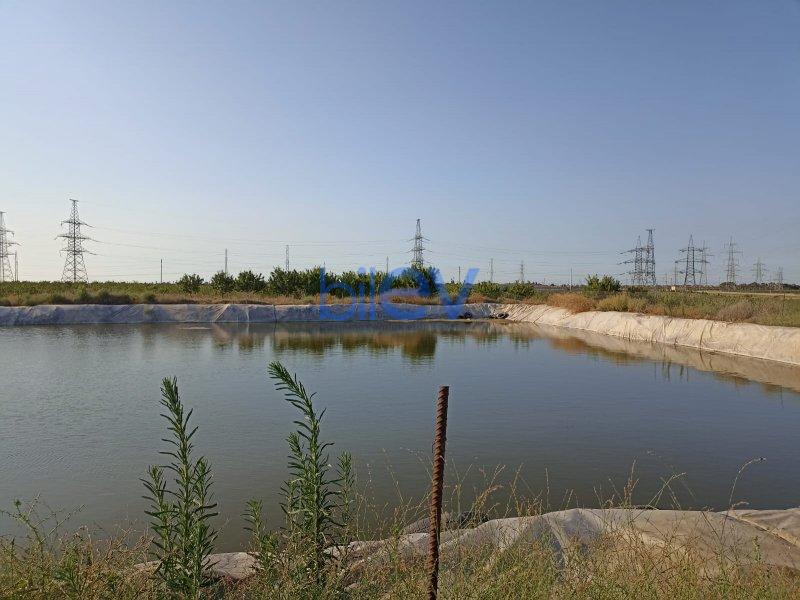 Satılır  otaqlı Torpaq  3000m², Bakı