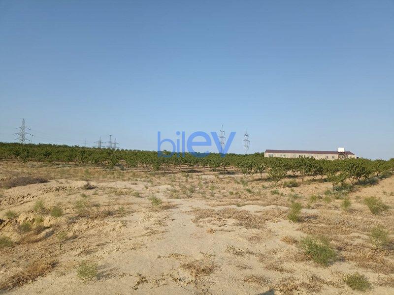 Satılır  otaqlı Torpaq  3000m², Bakı