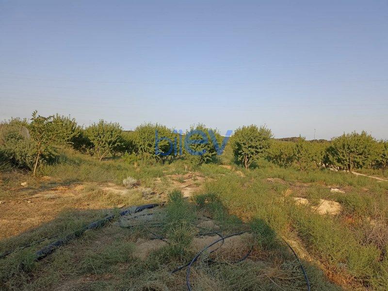 Satılır  otaqlı Torpaq  3000m², Bakı