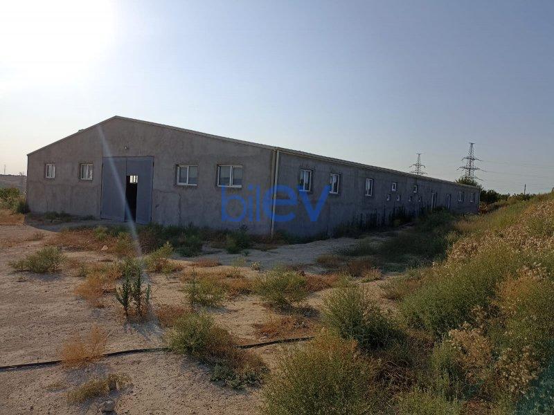 Satılır  otaqlı Torpaq  3000m², Bakı